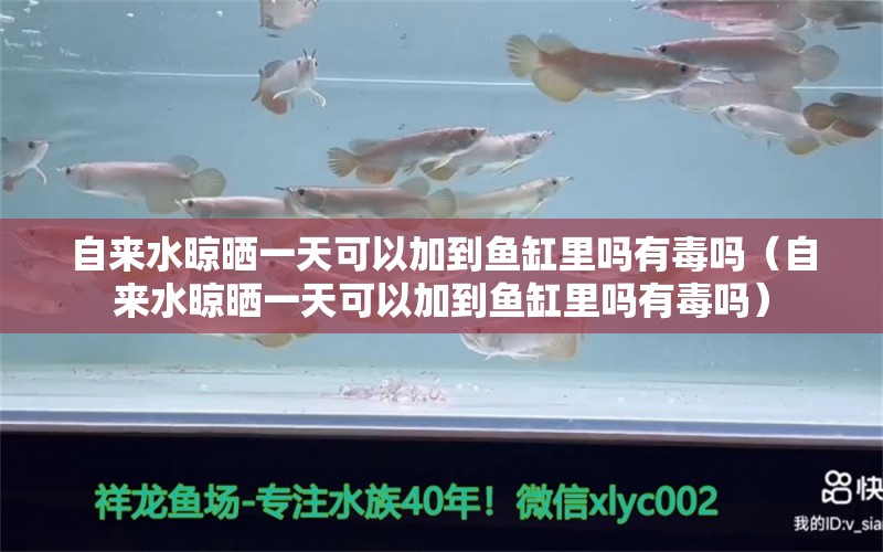 自来水晾晒一天可以加到鱼缸里吗有毒吗（自来水晾晒一天可以加到鱼缸里吗有毒吗）