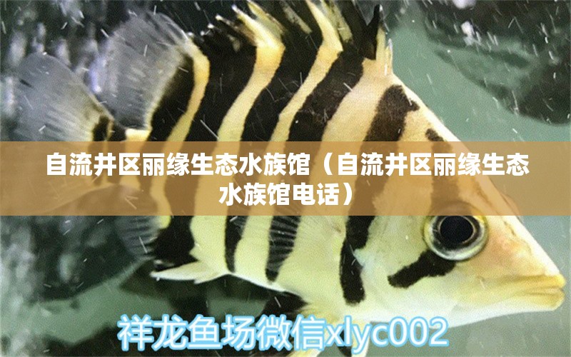 自流井区丽缘生态水族馆（自流井区丽缘生态水族馆电话）