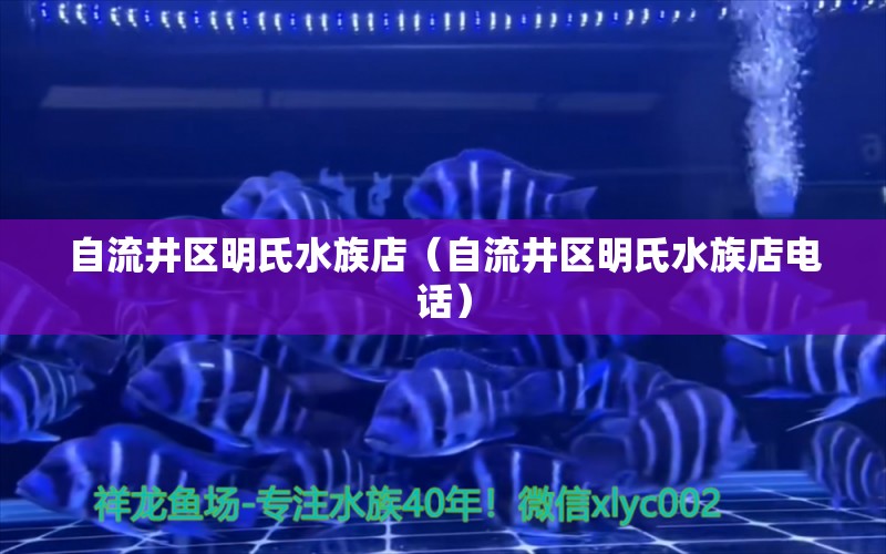 自流井区明氏水族店（自流井区明氏水族店电话） 全国水族馆企业名录