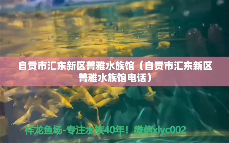 自贡市汇东新区菁雅水族馆（自贡市汇东新区菁雅水族馆电话）