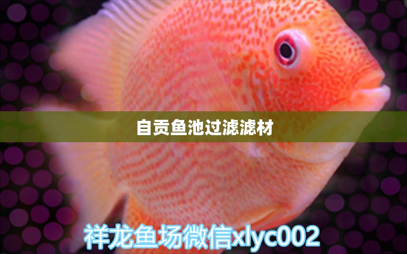 自贡鱼池过滤滤材 广州水族器材滤材批发市场