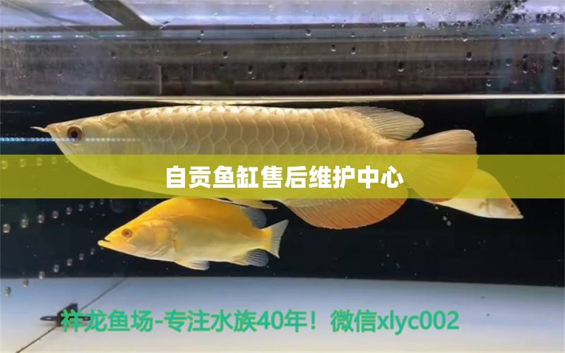 自贡鱼缸售后维护中心