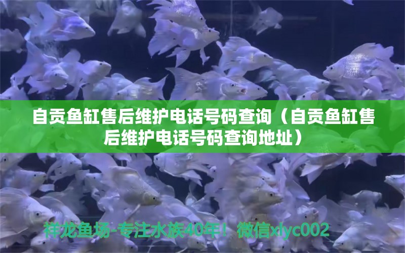 自贡鱼缸售后维护电话号码查询（自贡鱼缸售后维护电话号码查询地址）