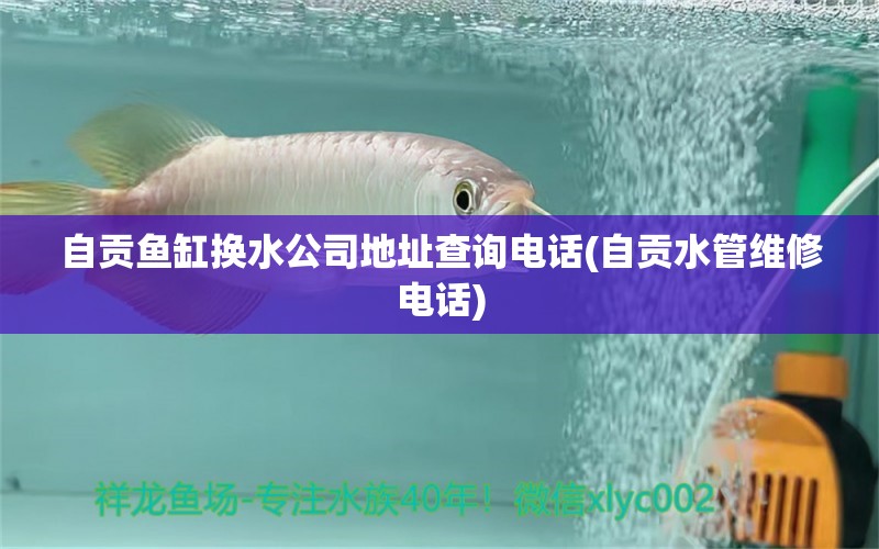 自贡鱼缸换水公司地址查询电话(自贡水管维修电话)