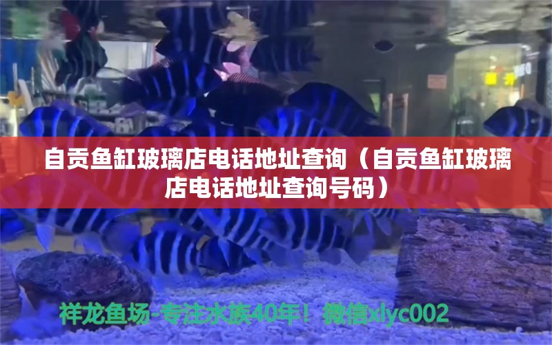 自贡鱼缸玻璃店电话地址查询（自贡鱼缸玻璃店电话地址查询号码） 量子养鱼技术