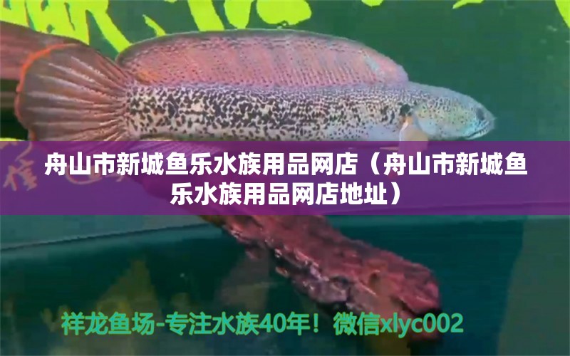 舟山市新城鱼乐水族用品网店（舟山市新城鱼乐水族用品网店地址） 水族用品