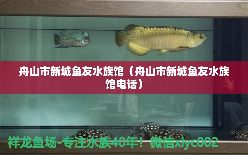 舟山市新城鱼友水族馆（舟山市新城鱼友水族馆电话）