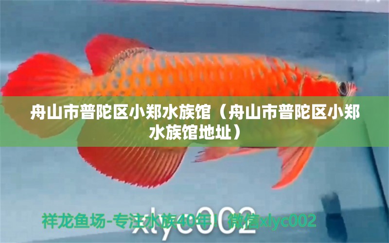 舟山市普陀区小郑水族馆（舟山市普陀区小郑水族馆地址）