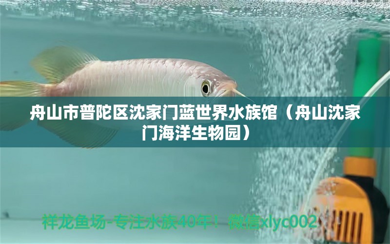 舟山市普陀区沈家门蓝世界水族馆（舟山沈家门海洋生物园）