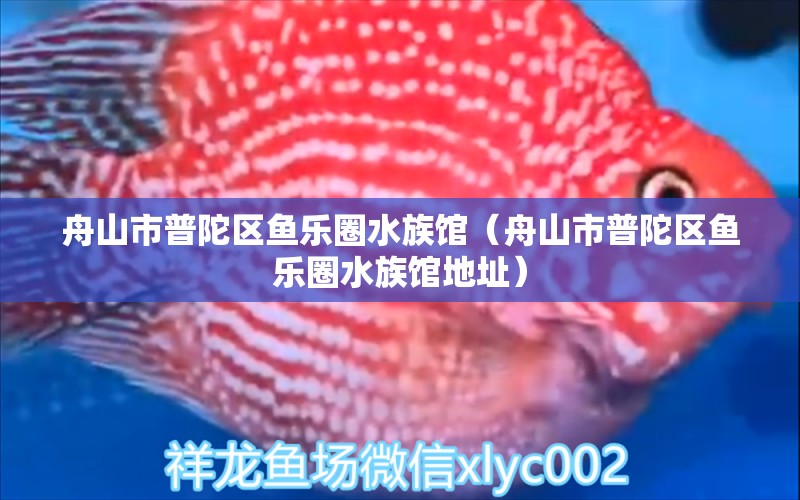 舟山市普陀区鱼乐圈水族馆（舟山市普陀区鱼乐圈水族馆地址）