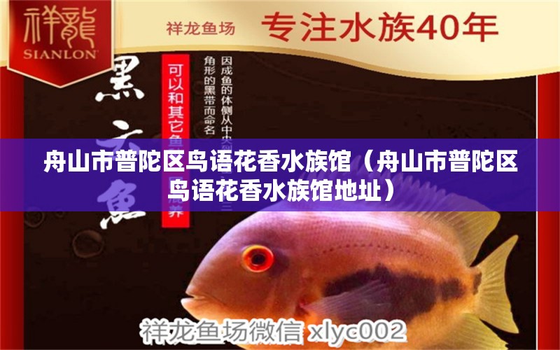 舟山市普陀区鸟语花香水族馆（舟山市普陀区鸟语花香水族馆地址） 全国水族馆企业名录