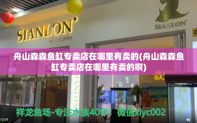 舟山森森鱼缸专卖店在哪里有卖的(舟山森森鱼缸专卖店在哪里有卖的啊) 萨伊蓝鱼 第1张