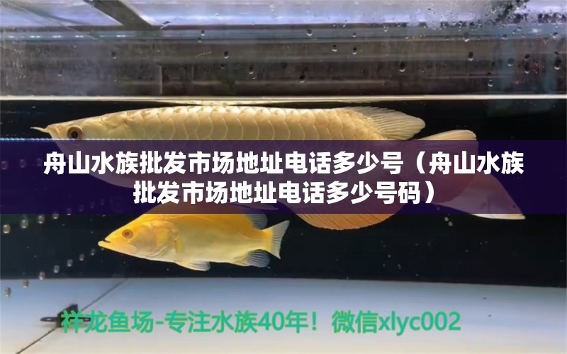 舟山水族批发市场地址电话多少号（舟山水族批发市场地址电话多少号码）