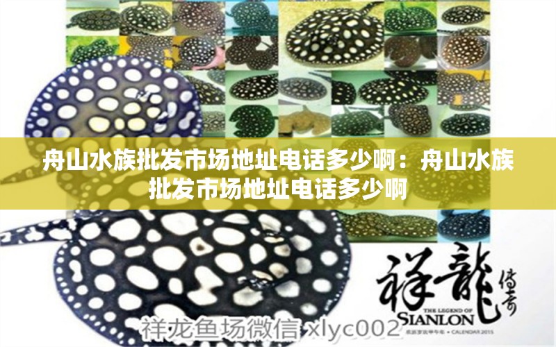 舟山水族批发市场地址电话多少啊：舟山水族批发市场地址电话多少啊