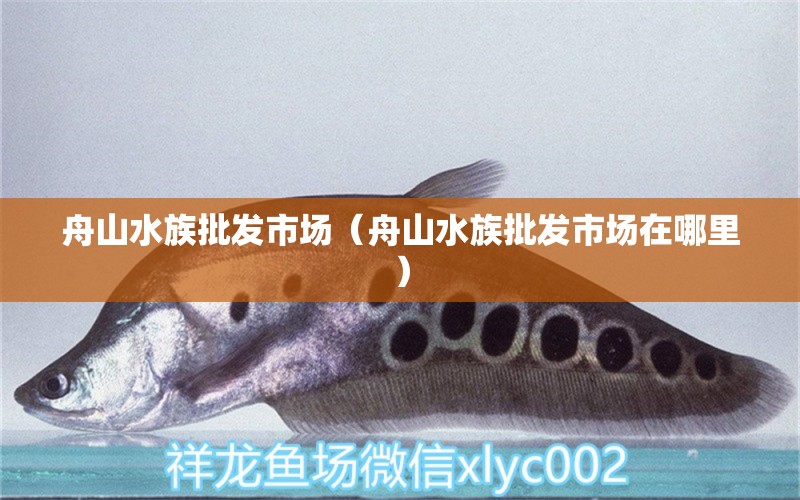 舟山水族批发市场（舟山水族批发市场在哪里）