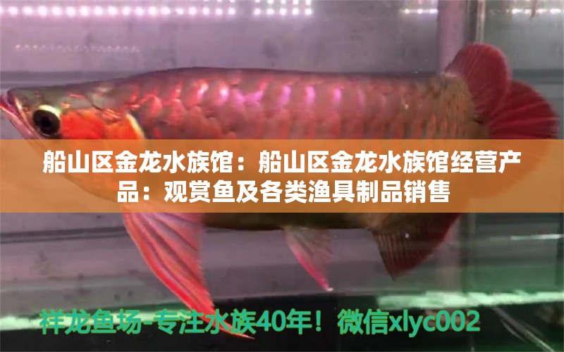 船山区金龙水族馆：船山区金龙水族馆经营产品：观赏鱼及各类渔具制品销售 全国观赏鱼市场 第1张