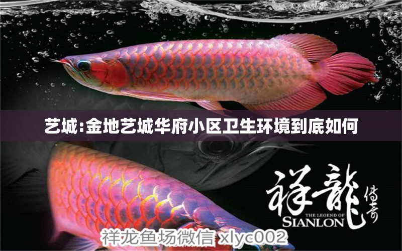 艺城:金地艺城华府小区卫生环境到底如何 水族品牌