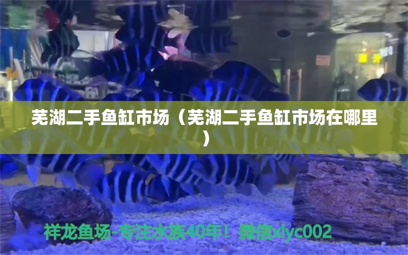 芜湖二手鱼缸市场（芜湖二手鱼缸市场在哪里）