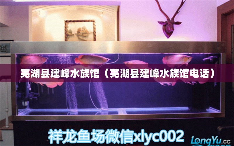 芜湖县建峰水族馆（芜湖县建峰水族馆电话） 全国水族馆企业名录