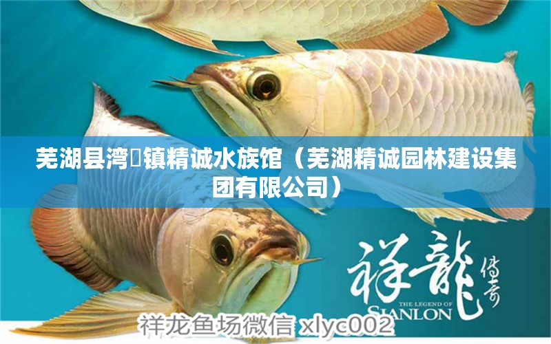 芜湖县湾沚镇精诚水族馆（芜湖精诚园林建设集团有限公司）