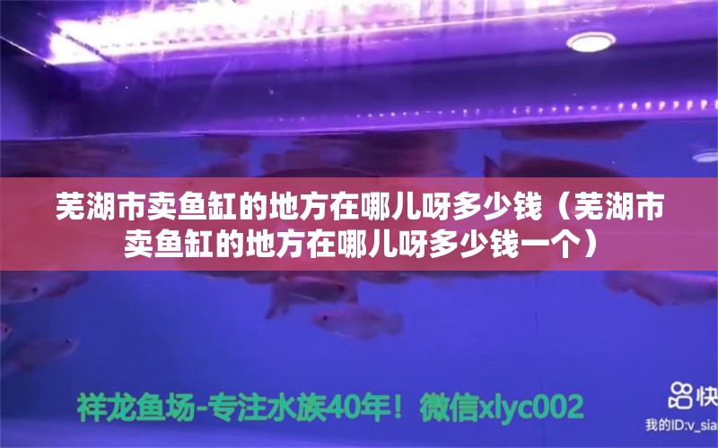 芜湖市卖鱼缸的地方在哪儿呀多少钱（芜湖市卖鱼缸的地方在哪儿呀多少钱一个）