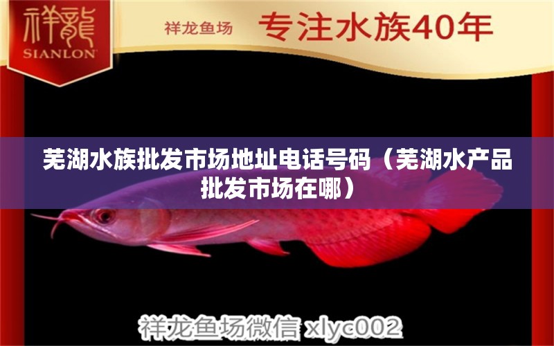 芜湖水族批发市场地址电话号码（芜湖水产品批发市场在哪） 观赏鱼水族批发市场