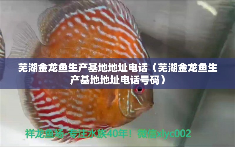 芜湖金龙鱼生产基地地址电话（芜湖金龙鱼生产基地地址电话号码） 鹦鹉鱼