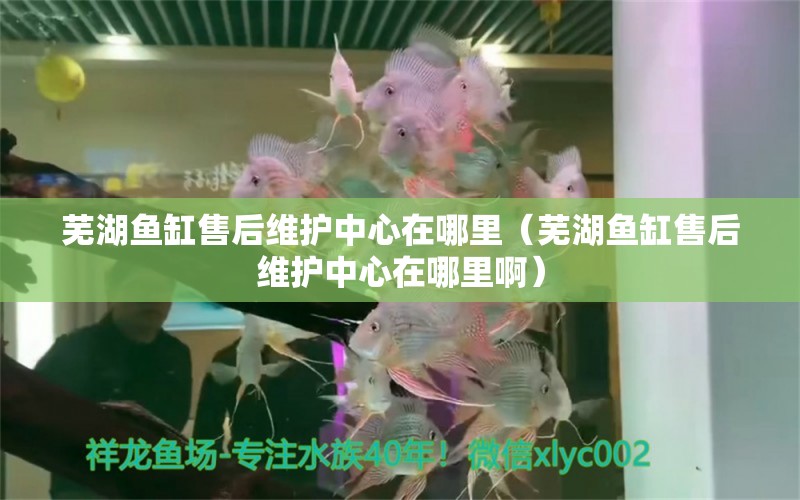 芜湖鱼缸售后维护中心在哪里（芜湖鱼缸售后维护中心在哪里啊）