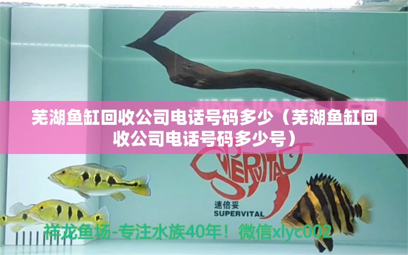 芜湖鱼缸回收公司电话号码多少（芜湖鱼缸回收公司电话号码多少号） 其它水族用具设备