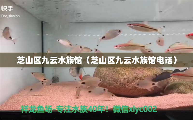 芝山区九云水族馆（芝山区九云水族馆电话） 全国水族馆企业名录