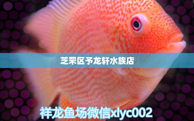 芝罘区予龙轩水族店 全国水族馆企业名录