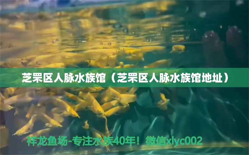 芝罘区人脉水族馆（芝罘区人脉水族馆地址）