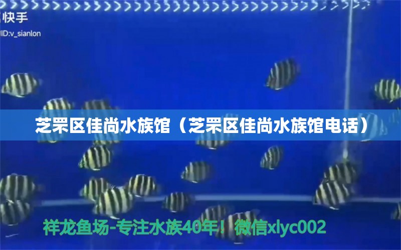 芝罘区佳尚水族馆（芝罘区佳尚水族馆电话） 全国水族馆企业名录