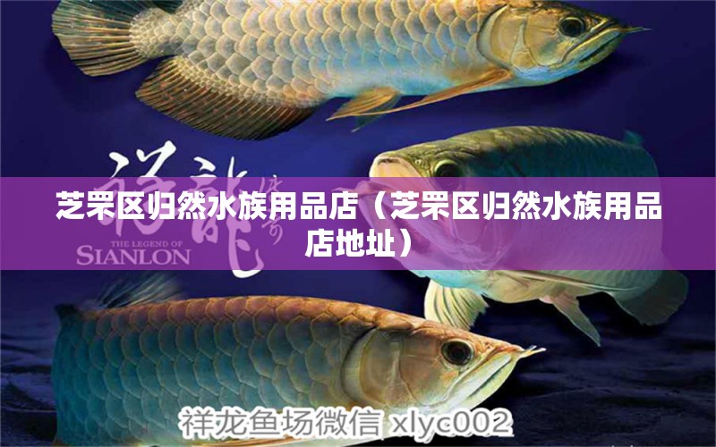 芝罘区归然水族用品店（芝罘区归然水族用品店地址） 水族用品