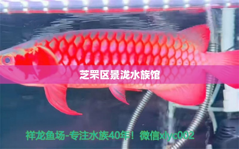 芝罘区景泷水族馆