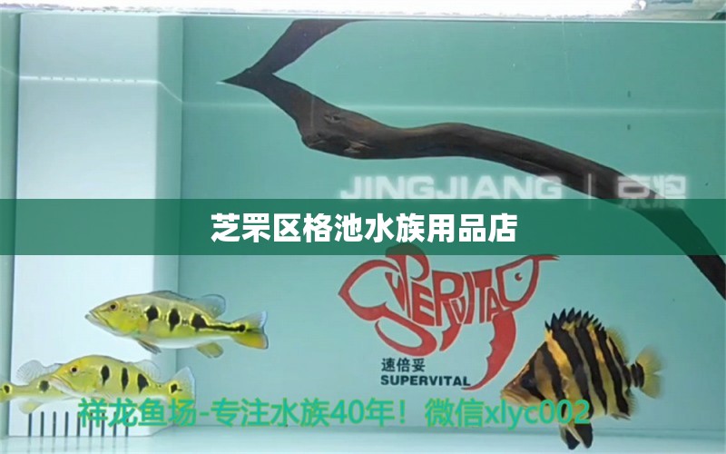 芝罘区格池水族用品店 水族用品