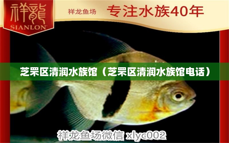 芝罘区清润水族馆（芝罘区清润水族馆电话）