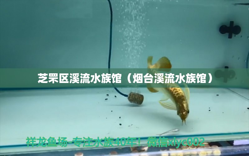 芝罘区溪流水族馆（烟台溪流水族馆）