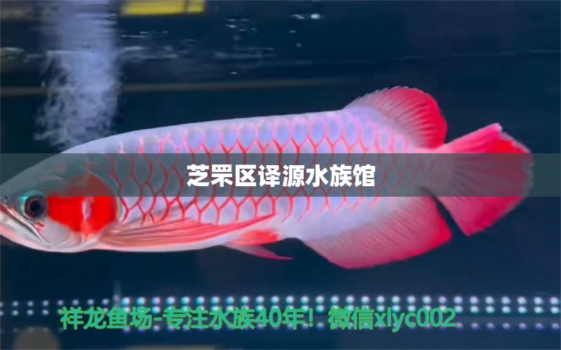 芝罘区译源水族馆