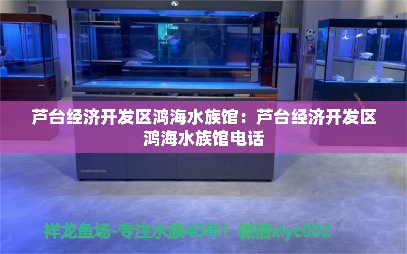 芦台经济开发区鸿海水族馆：芦台经济开发区鸿海水族馆电话 全国水族馆企业名录