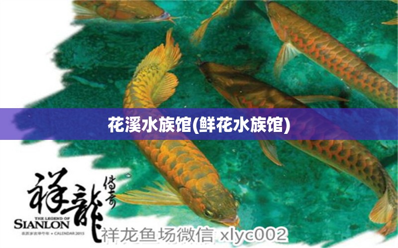 花溪水族馆(鲜花水族馆)