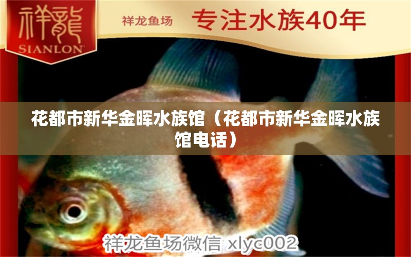 花都市新华金晖水族馆（花都市新华金晖水族馆电话） 全国水族馆企业名录