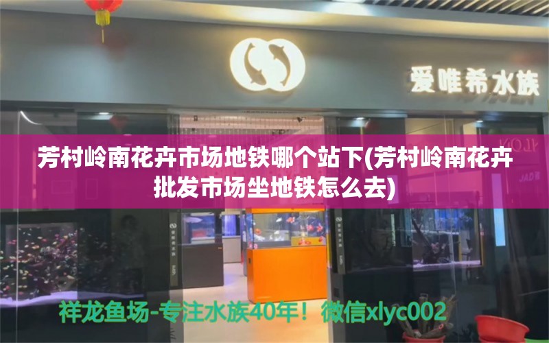 芳村岭南花卉市场地铁哪个站下(芳村岭南花卉批发市场坐地铁怎么去)