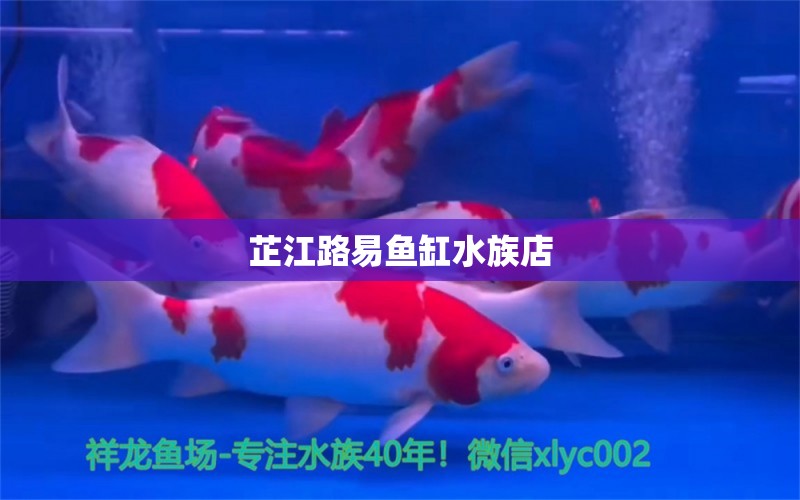 芷江路易鱼缸水族店 全国水族馆企业名录