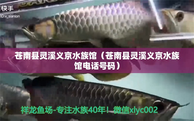 苍南县灵溪义京水族馆（苍南县灵溪义京水族馆电话号码）