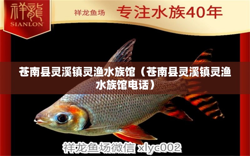 苍南县灵溪镇灵渔水族馆（苍南县灵溪镇灵渔水族馆电话）