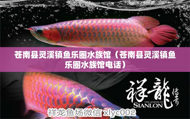 苍南县灵溪镇鱼乐圈水族馆（苍南县灵溪镇鱼乐圈水族馆电话）