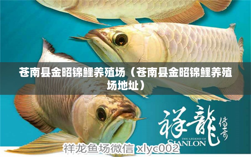 苍南县金昭锦鲤养殖场（苍南县金昭锦鲤养殖场地址） 全国水族馆企业名录