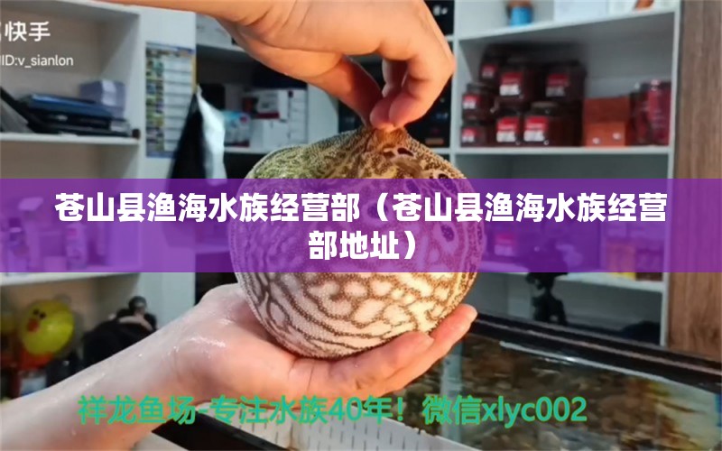 苍山县渔海水族经营部（苍山县渔海水族经营部地址）