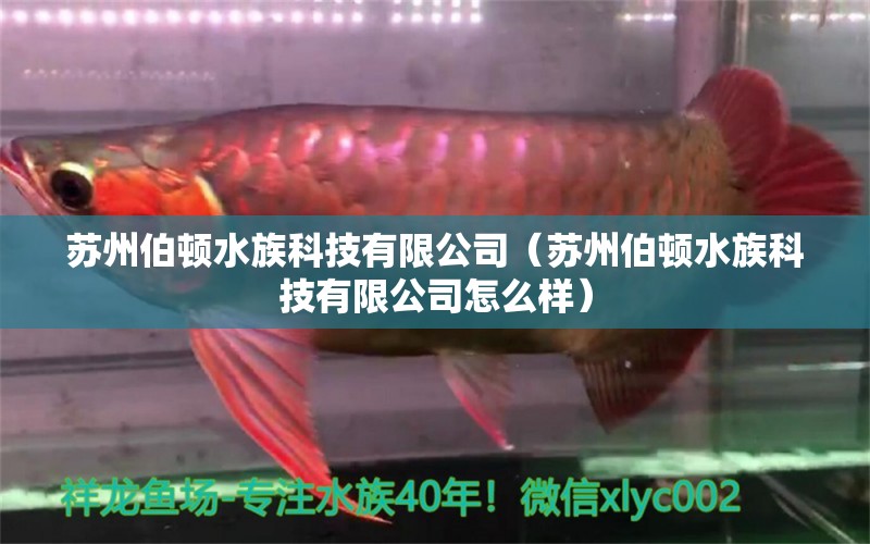 苏州伯顿水族科技有限公司（苏州伯顿水族科技有限公司怎么样）